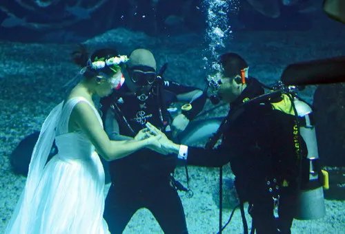 海底婚礼流程策划 怎么在海底举办婚礼