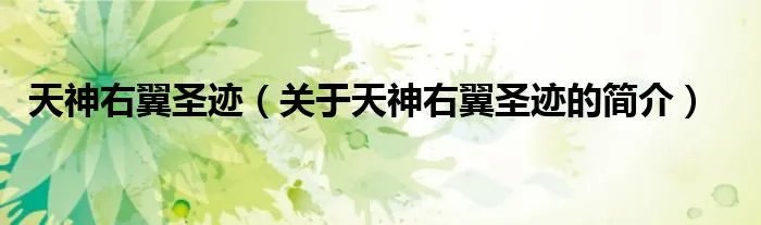天神右翼圣迹（关于天神右翼圣迹的简介）