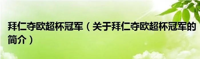 拜仁夺欧超杯冠军（关于拜仁夺欧超杯冠军的简介）