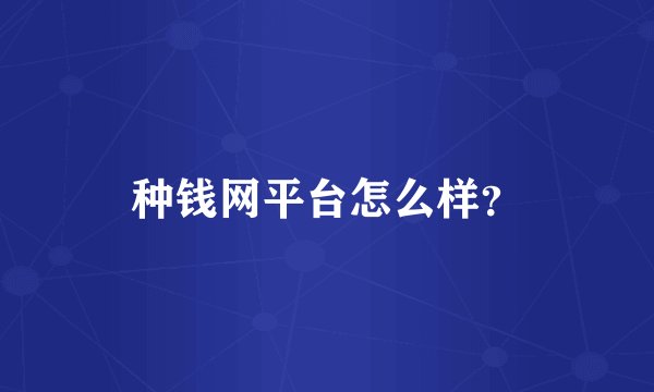 种钱网平台怎么样？