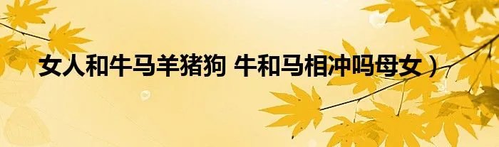 女人和牛马羊猪狗 牛和马相冲吗母女）