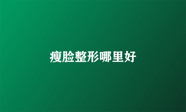 瘦脸整形哪里好