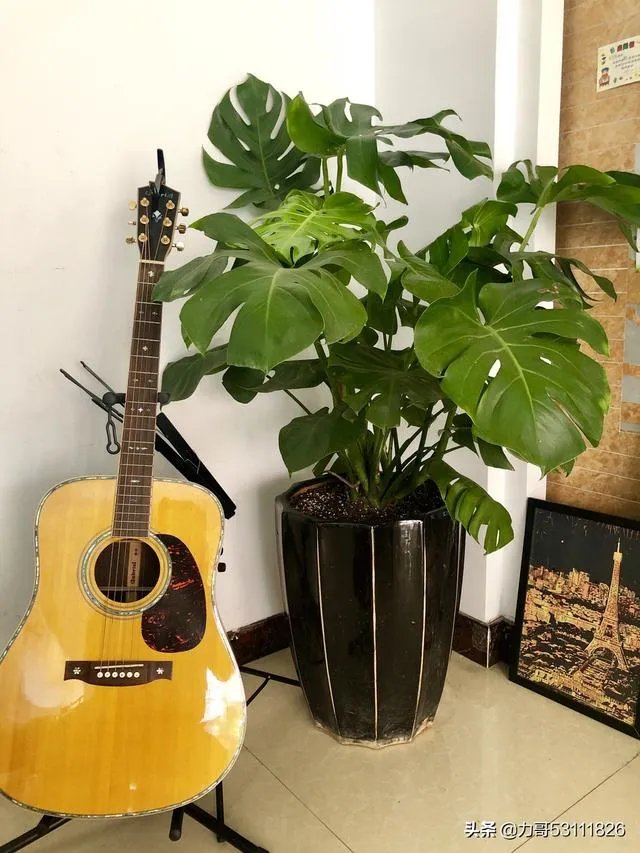 淘宝花店有没有推荐的?