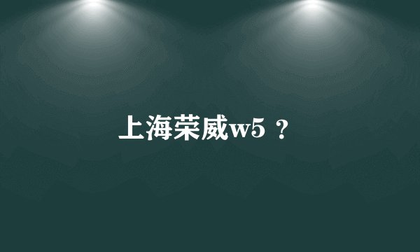 上海荣威w5 ？