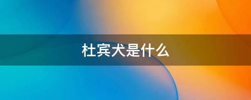 杜宾犬是什么