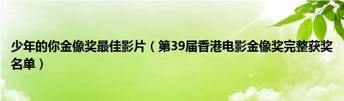少年的你金像奖最佳影片（第39届香港电影金像奖完整获奖名单）