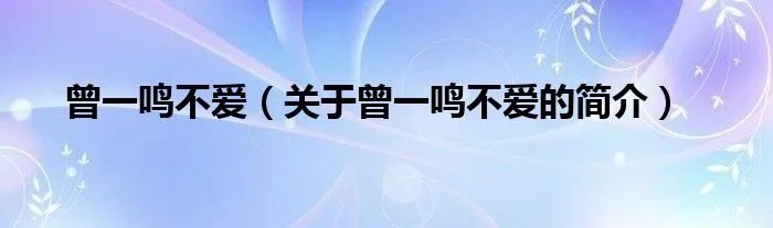 曾一鸣不爱（关于曾一鸣不爱的简介）