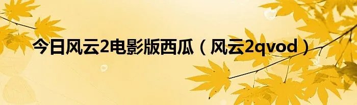 今日风云2电影版西瓜(风云2qvod)