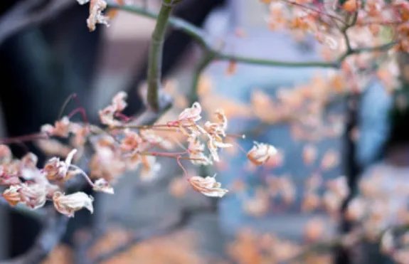 2019年2月4日几点立春 2019什么时候立春时辰