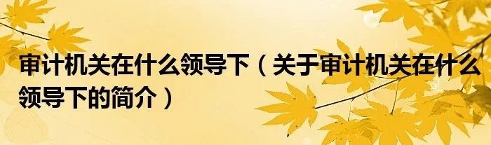 审计机关在什么领导下(关于审计机关在什么领导下的简介)