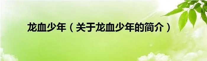 龙血少年（关于龙血少年的简介）