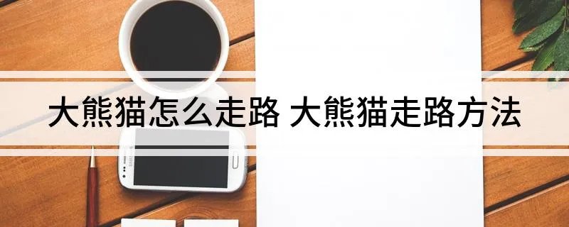 大熊猫怎么走路 大熊猫走路方法