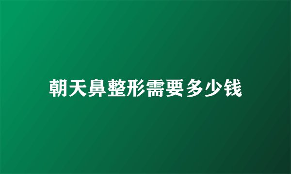 朝天鼻整形需要多少钱