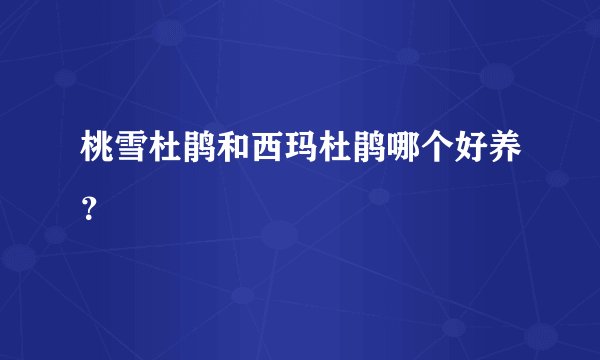 桃雪杜鹃和西玛杜鹃哪个好养？