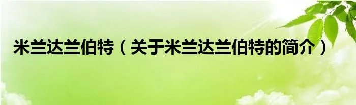 米兰达兰伯特（关于米兰达兰伯特的简介）