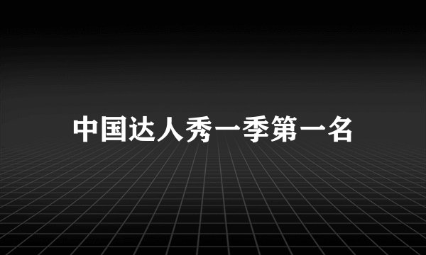 中国达人秀一季第一名