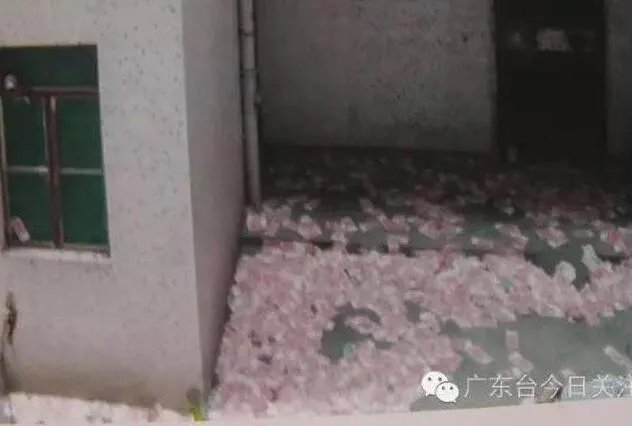 高楼坠亡洒落现金 男子因何离奇坠楼?