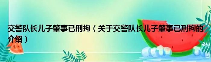交警队长儿子肇事已刑拘（关于交警队长儿子肇事已刑拘的介绍）