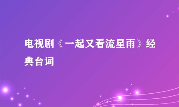 电视剧《一起又看流星雨》经典台词