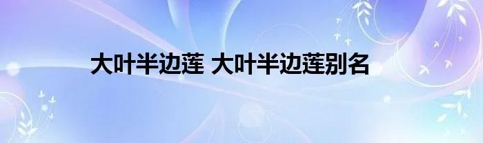 大叶半边莲 大叶半边莲别名