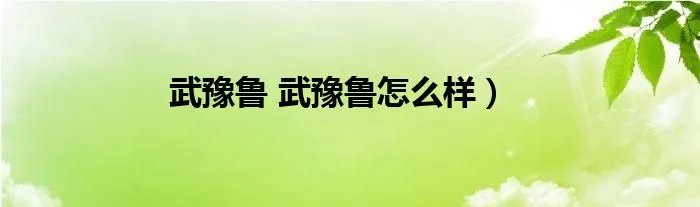 武豫鲁 武豫鲁怎么样）