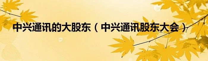中兴通讯的大股东（中兴通讯股东大会）