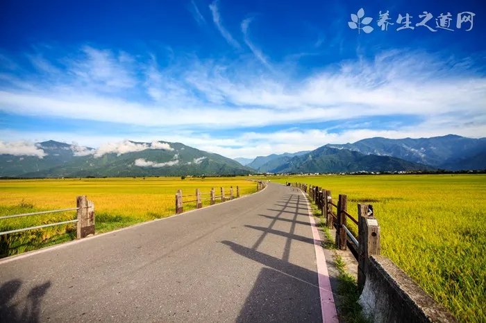 儿童家庭教育方法