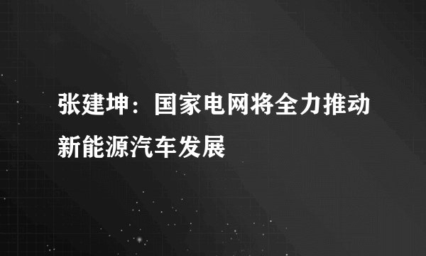张建坤：国家电网将全力推动新能源汽车发展