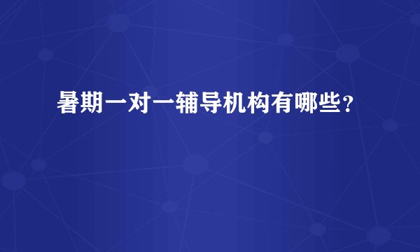 暑期一对一辅导机构有哪些？