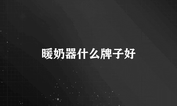 暖奶器什么牌子好