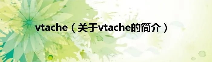 vtache（关于vtache的简介）