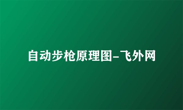 自动步枪原理图-飞外网