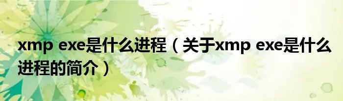 xmp exe是什么进程（关于xmp exe是什么进程的简介）