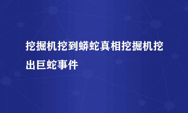 挖掘机挖到蟒蛇真相挖掘机挖出巨蛇事件