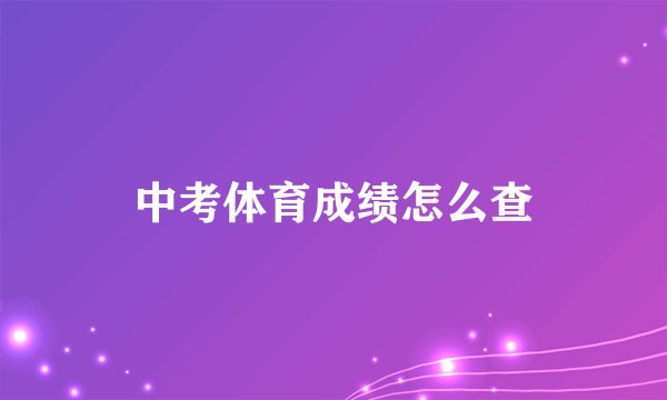 中考体育成绩怎么查