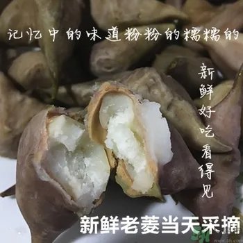 菱角和猪肉能一起吃吗？菱角和什么不能一起吃？