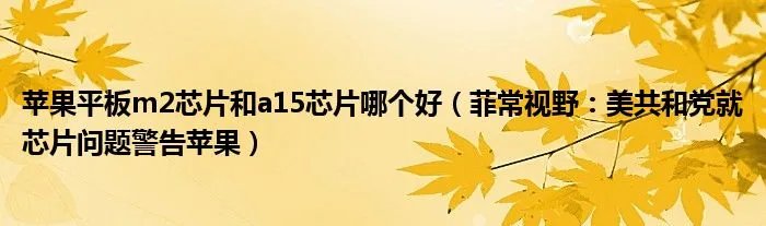苹果平板m2芯片和a15芯片哪个好（菲常视野：美共和党就芯片问题警告苹果）