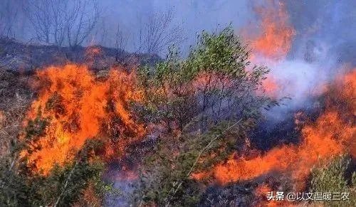 西昌山火为什么会死这么多人？