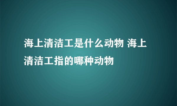 海上清洁工是什么动物 海上清洁工指的哪种动物
