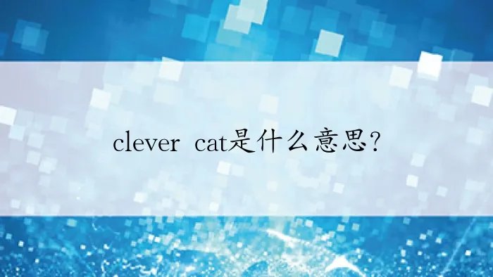 clever cat是什么意思？