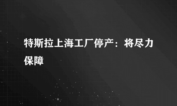 特斯拉上海工厂停产：将尽力保障