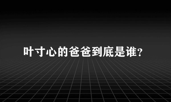 叶寸心的爸爸到底是谁？