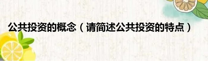 公共投资的概念（请简述公共投资的特点）