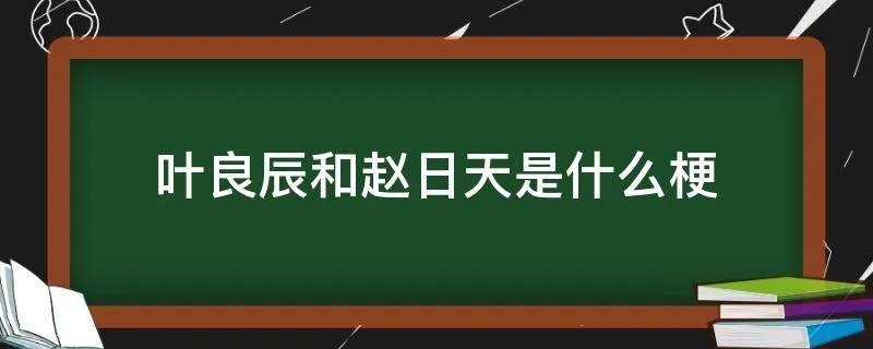 叶良辰和赵日天是什么梗