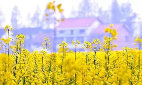 2019年2月4日几点立春 2019什么时候立春时辰