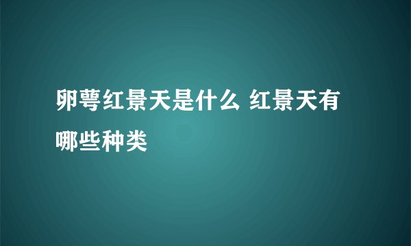 卵萼红景天是什么 红景天有哪些种类