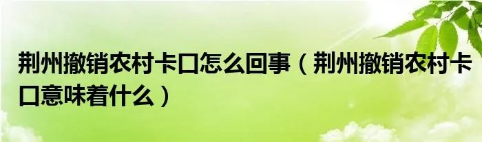 荆州撤销农村卡口怎么回事（荆州撤销农村卡口意味着什么）