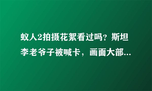 蚁人2拍摄花絮看过吗？斯坦李老爷子被喊卡，画面大部分是特效