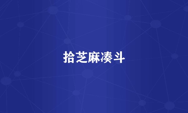 拾芝麻凑斗
