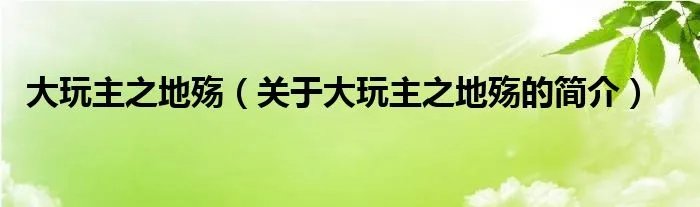 大玩主之地殇（关于大玩主之地殇的简介）